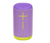 Ultimate Ears EVERBOOM Portable Bluetooth Speaker