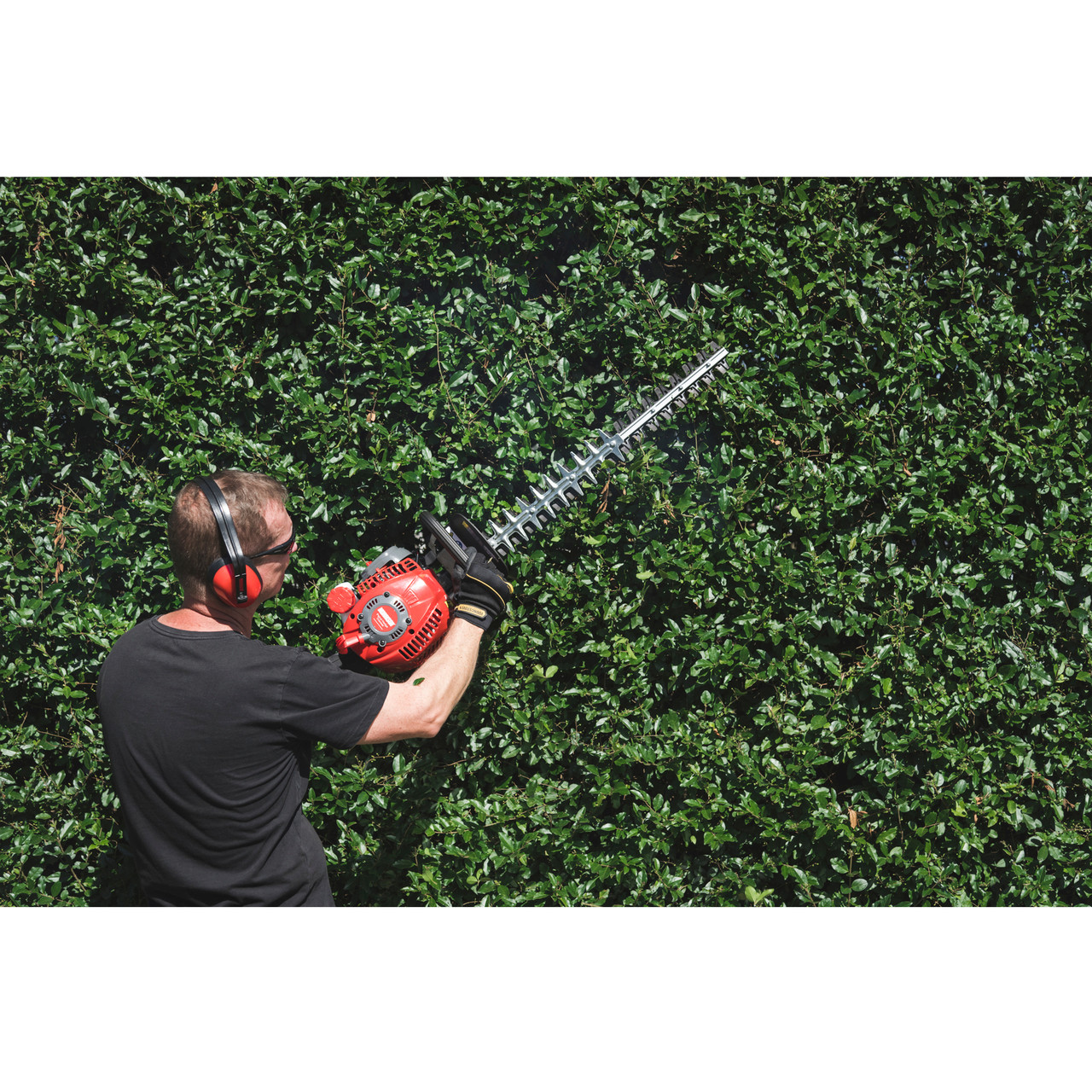 Morrison Hedge TrimmerGardeningHome Express NZ