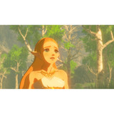 Nintendo Switch Legend of Zelda Breath of the Wind