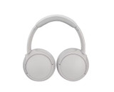 Panasonic RB-M600BE Hybrid Noise Cancelling Wirele