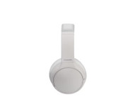 Panasonic RB-M600BE Hybrid Noise Cancelling Wirele