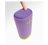 Ultimate Ears EVERBOOM Portable Bluetooth Speaker