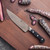 ZWILLING Pro 2-pc Chef's Knife Set
