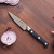 ZWILLING Pro 2-pc Chef's Knife Set