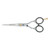 ZWILLING Hair Scissors (professional hairdressing scissors for a sharp and precise cut), Premium, Silver, 5.5 inch
