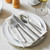 Henckels Madison Square 20-pc 18/10 Stainless Steel Flatware Set