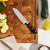 HENCKELS Elan Hollow Edge Santoku Knife