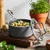 ZWILLING Vitale Aluminum Nonstick Saucepan with Lid