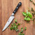 ZWILLING Pro 6-inch Utility Knife