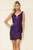 SEQUIN VELVET DEEP V-NECK ILLUSION DRESS