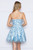 Glitter Sequin V-Neck A-Line Dress
