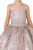 Glitter Print Sheer Neckline Junior Quijnce Dress