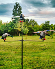 Tri-Fly Decoy Holder