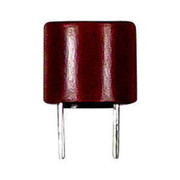 5002943 Fuse, 1A, 250V, Time, Delay