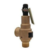 6010DC-150 1/2 inch x 3/4 inch ASME Hard Seat Safety Valve 150 Psi 350 Scfm