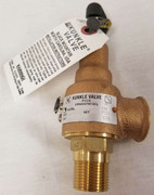 6010DD-200 200 Psi Safety Valve