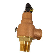 6010DD-200 200 Psi Safety Valve