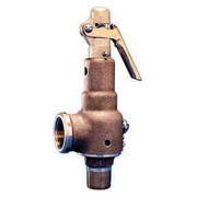 6010GG-150 1.5 inch x 1.5 inch Hard Seat Safety Valve 150 Psi 1602 Scfm