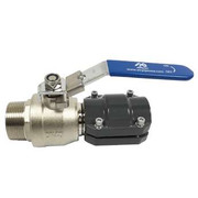 5352 50 mm - 2 inch Pipe To 2 inch Male NPT Ball Valve - Locking