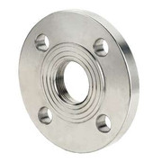 7579 80 mm - 3 inch Ansi Flange To 2 inch Female NPT - Cast Iron - Bolts And Gasket Included