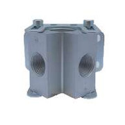 90601-2-MFD Outlet Manifold 1/2 inch In 2 X 1/2 inch NPT Female Outlets