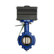 7448894 Butterfly & Actuator Valve 3.00, W15, Ci, Nbr, Srfc 