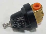 02250148-608 Press Reg Valve, 1/4 inch NPT 70-250# 