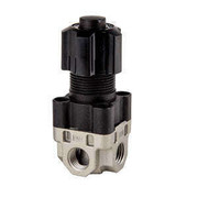 3204277 Rgltr, Press .250, FPT, 290#Mx, Preset@55PSI  3204277 Rgltr, Press .250, FPT, 290#Mx, Preset@55PSI