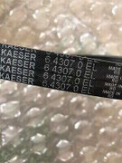 6.4307.0 V-Ribbed Belt 