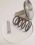 02250053-273 6 inch Inlet Valve Repair Kit  02250053-273 6 inch Inlet Valve Repair Kit