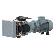 Sauer Harmattan Series Oil Free Reciprocating Air Compressors