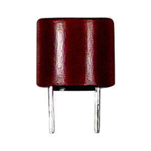 5002943 Fuse, 1A, 250V, Time, Delay