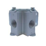 90601-2-MFD Outlet Manifold 1/2 inch In 2 X 1/2 inch NPT Female Outlets