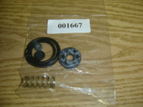 001667 Blowdown Valve Repair Kit