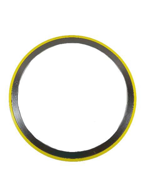 FW3618-SW Gasket 18In Flng Spiral Wnd Ss