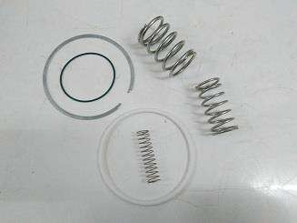 250029-249 Kit, Rep 4 inch Inl Valve