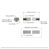 2109-4012-4320 Schematic