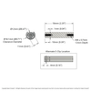2109-4012-0560 Schematic