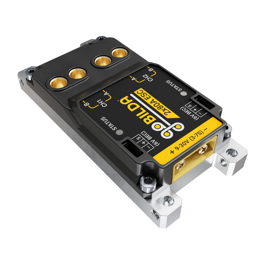 2x80A Motor Controller