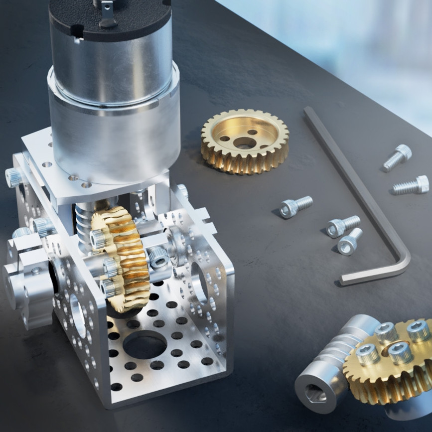 1/4" D-Bore Stainless Steel Worm