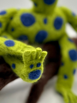 Dot Details