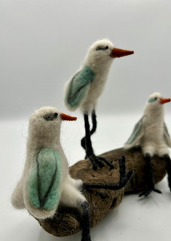 Shorebird pipers closeup