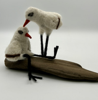 Shorebird Pair