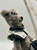 felted bear side view