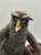 felted bird