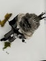 felted lion top view
