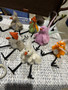 Variety of birds