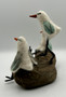 Shorebird pipers  back
