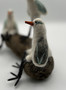 Shorebird pipers side