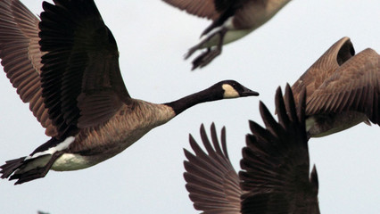 A lesson to live by. A lesson to live by.